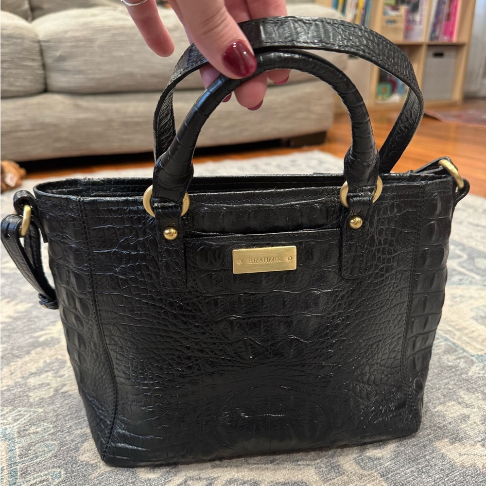 Brahmin satchel